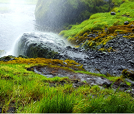 a mossy rock covered with misty water in Iceland